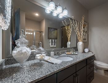 Designer Granite Countertops In All Bathrooms at Radius West Midtown, Atlanta